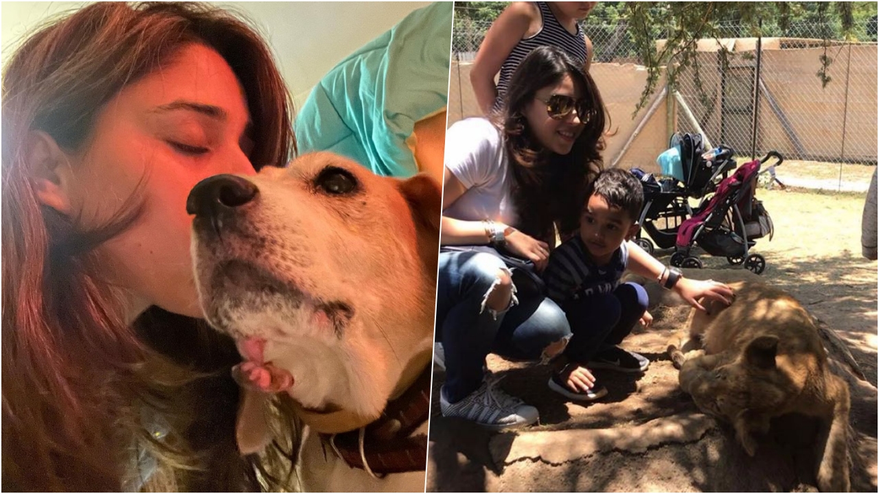 Ritika Sajdeh With Dogs