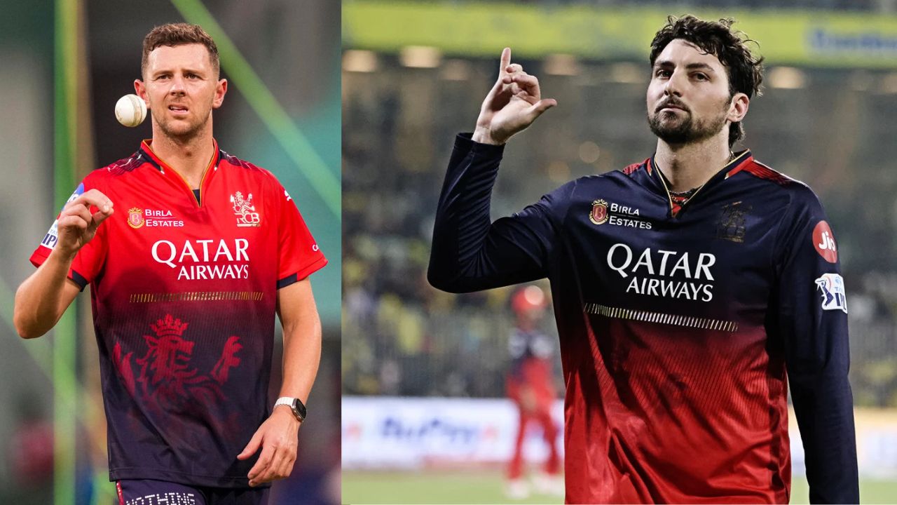Will Josh Hazlewood and Tim David Available for Royal Challengers Bengaluru in IPL 2025 Qualifier 1 PBKS vs RCB Match