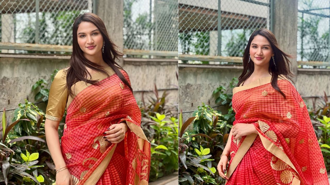 Anaya bangar Saree Look