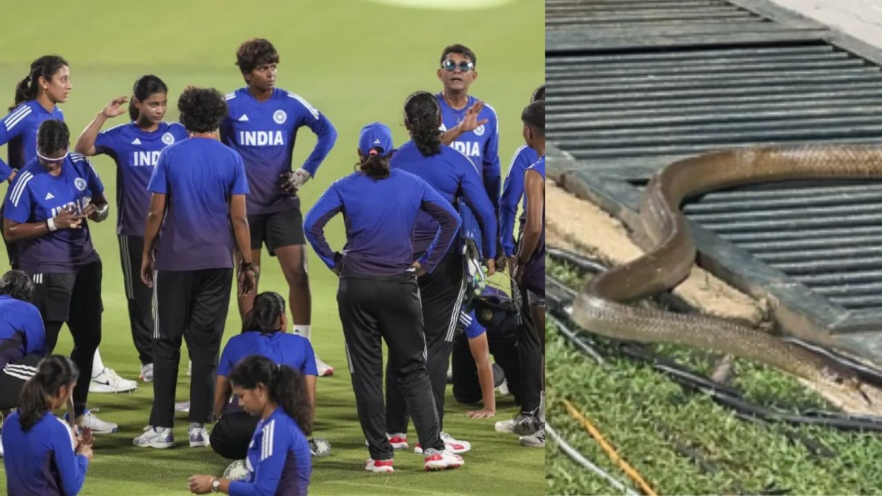 Women's World Cup 2025 Snake enters in cricket ground during Team India practice session