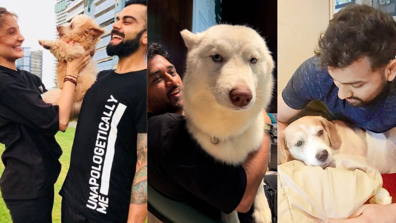 International Dog Day