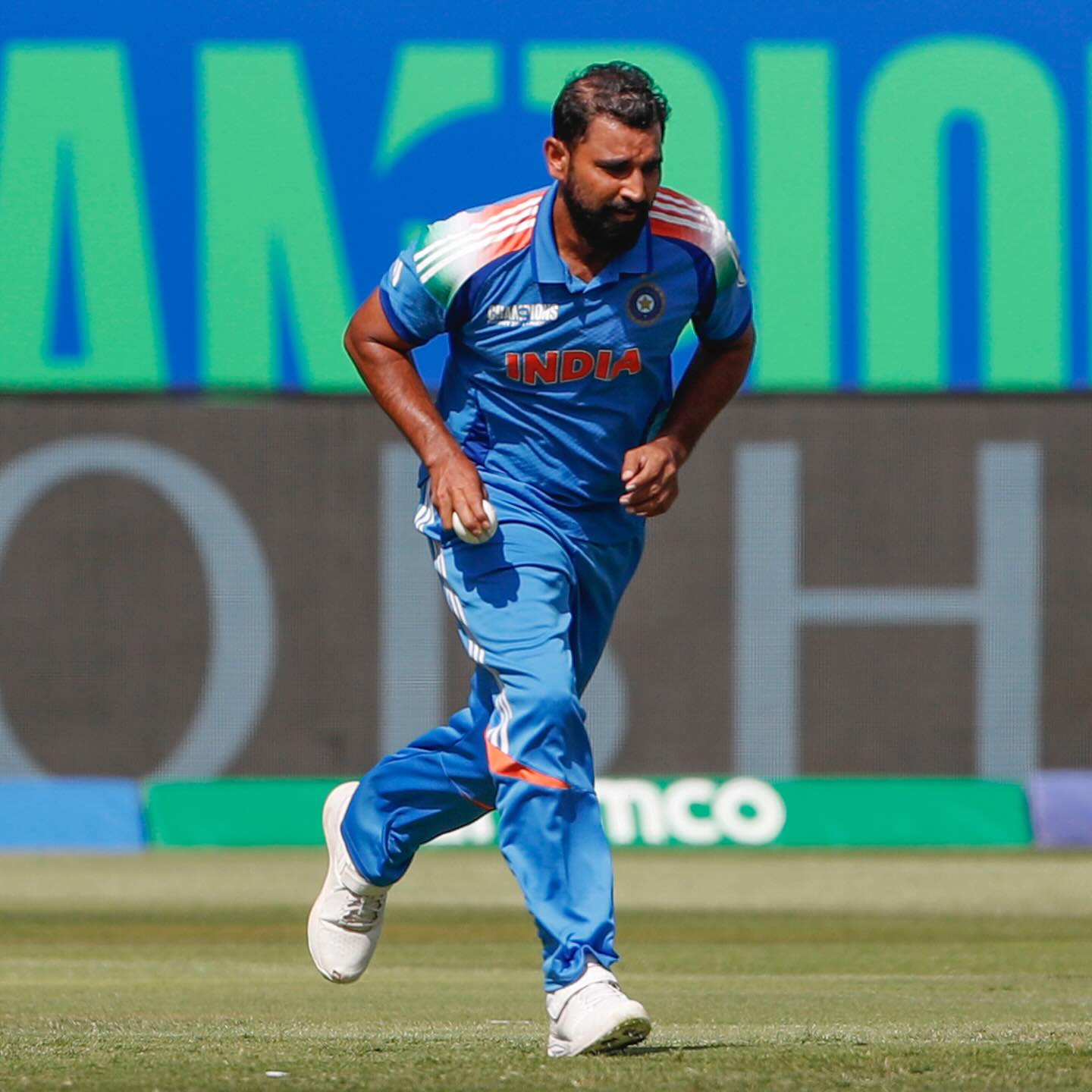 IND vs NZ: Mohammed Shami