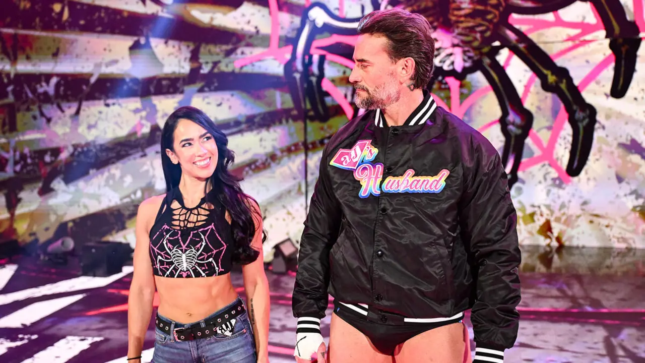 AJ Lee CM Punk
