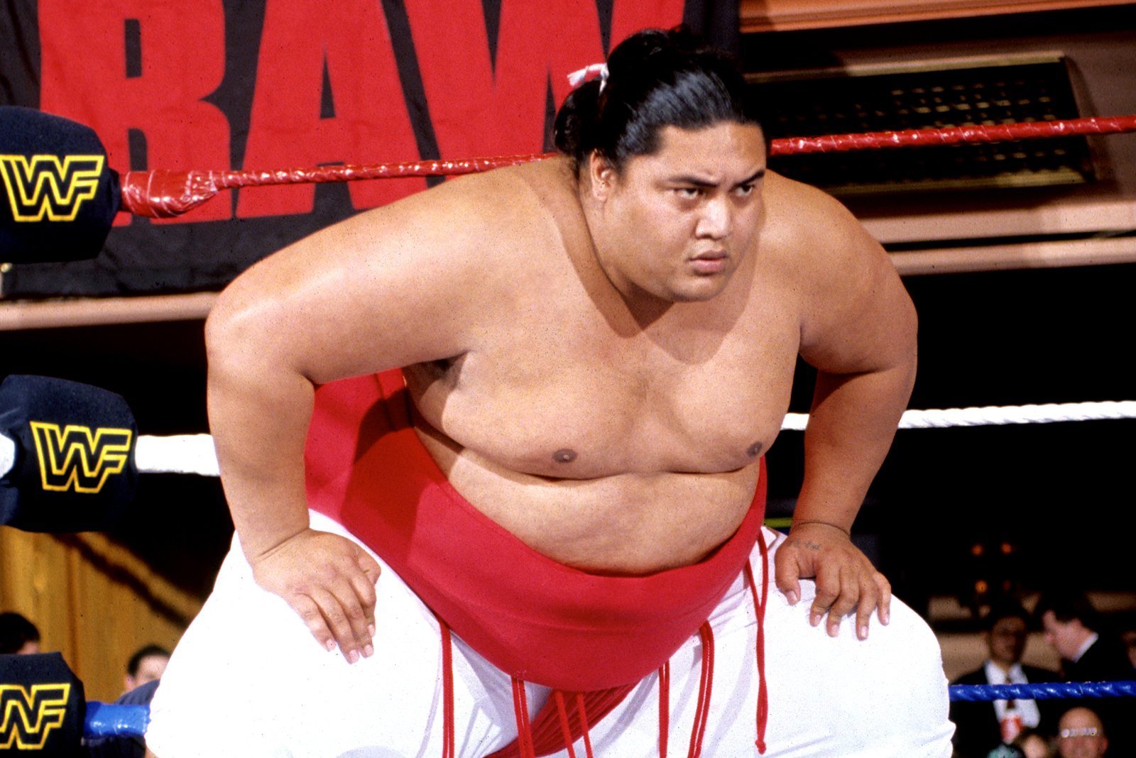 Yokozuna Yokozuna