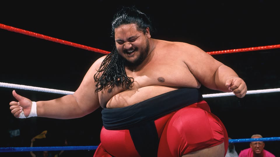 Yokozuna Yokozuna