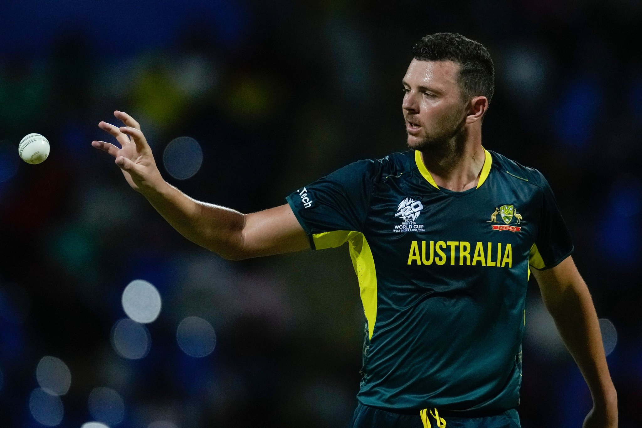 Hazlewood Hazlewood
