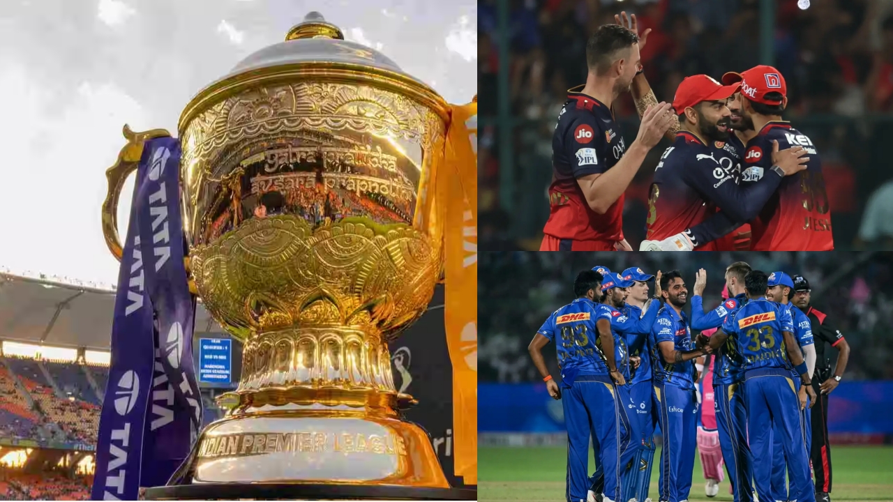 IPL Playoff Chances