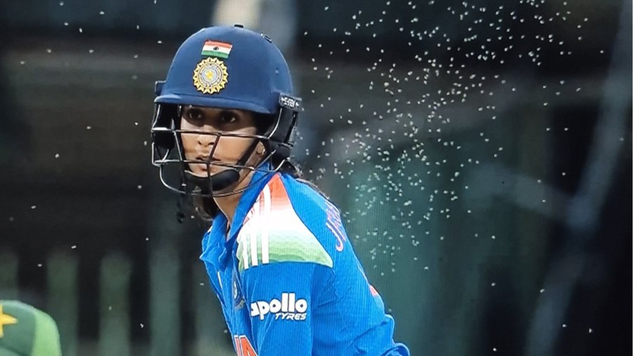 India Vs Pakistan Stopped Due To Insects And Bugs