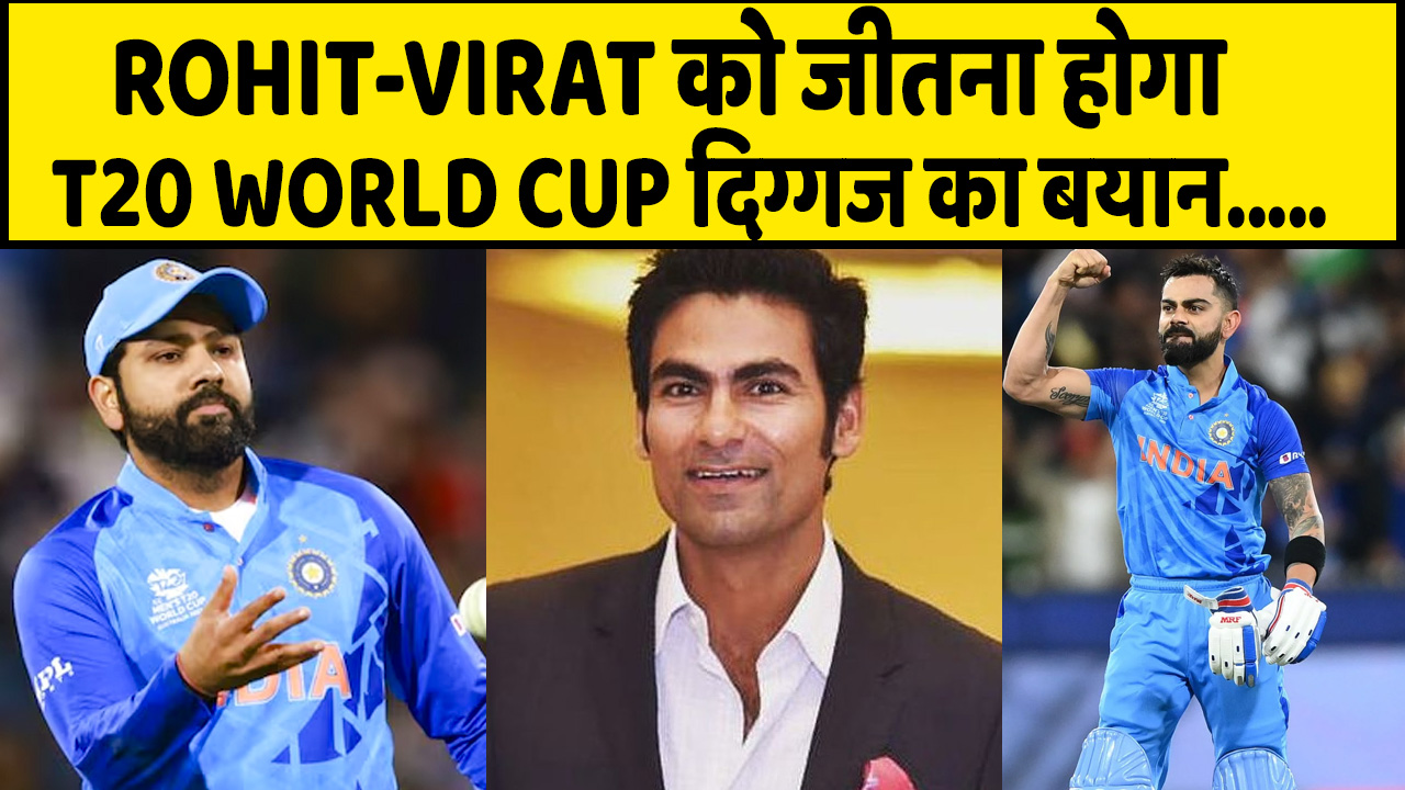 Sportsyaari