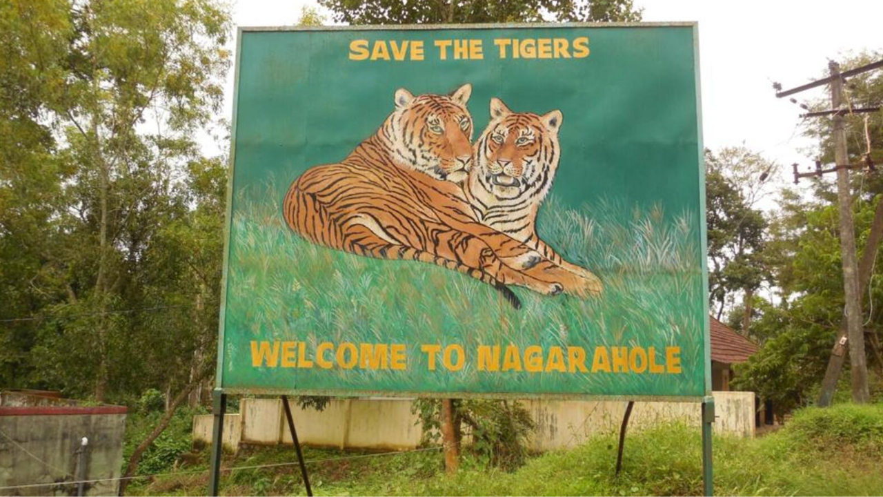 Nagarhole Tiger Reserve Witnesses Cricket Match