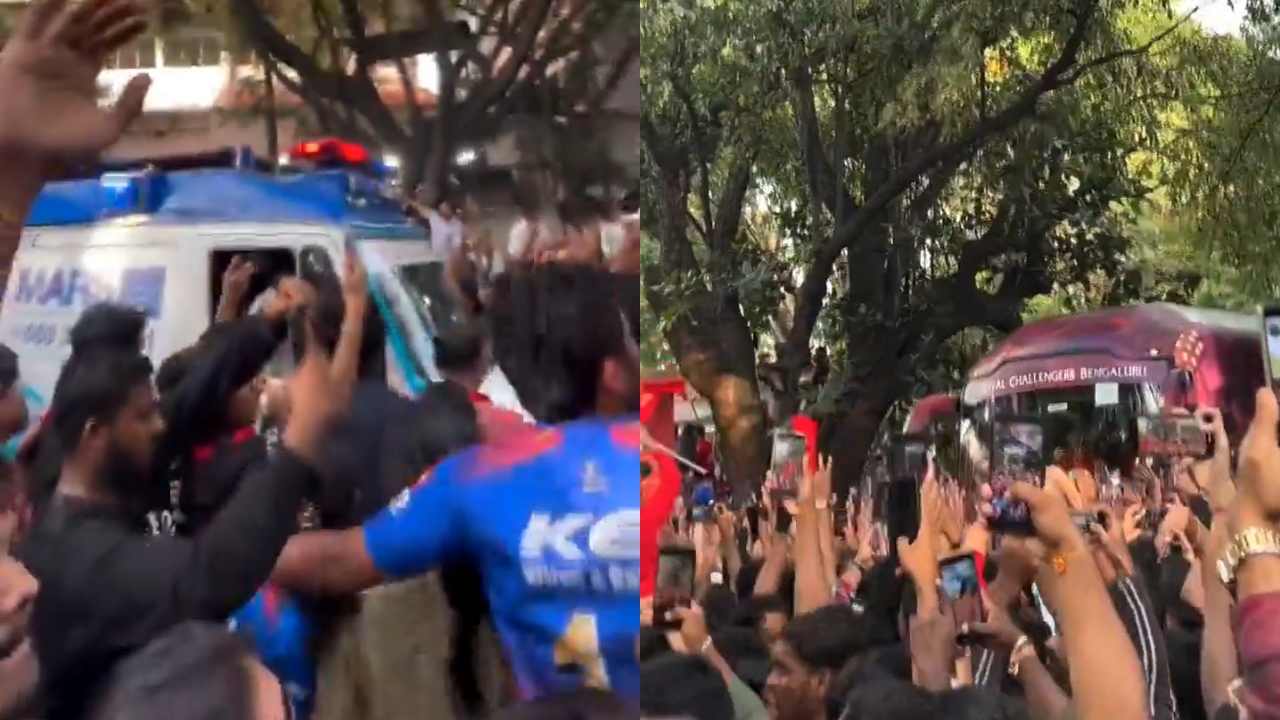 RCB Team Bus Stampede