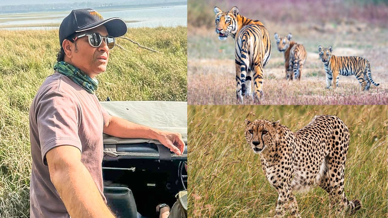 Sachin Tendulkar On World Wildlife Day 2025 Sachin Tendulkar On World Wildlife Day 2025