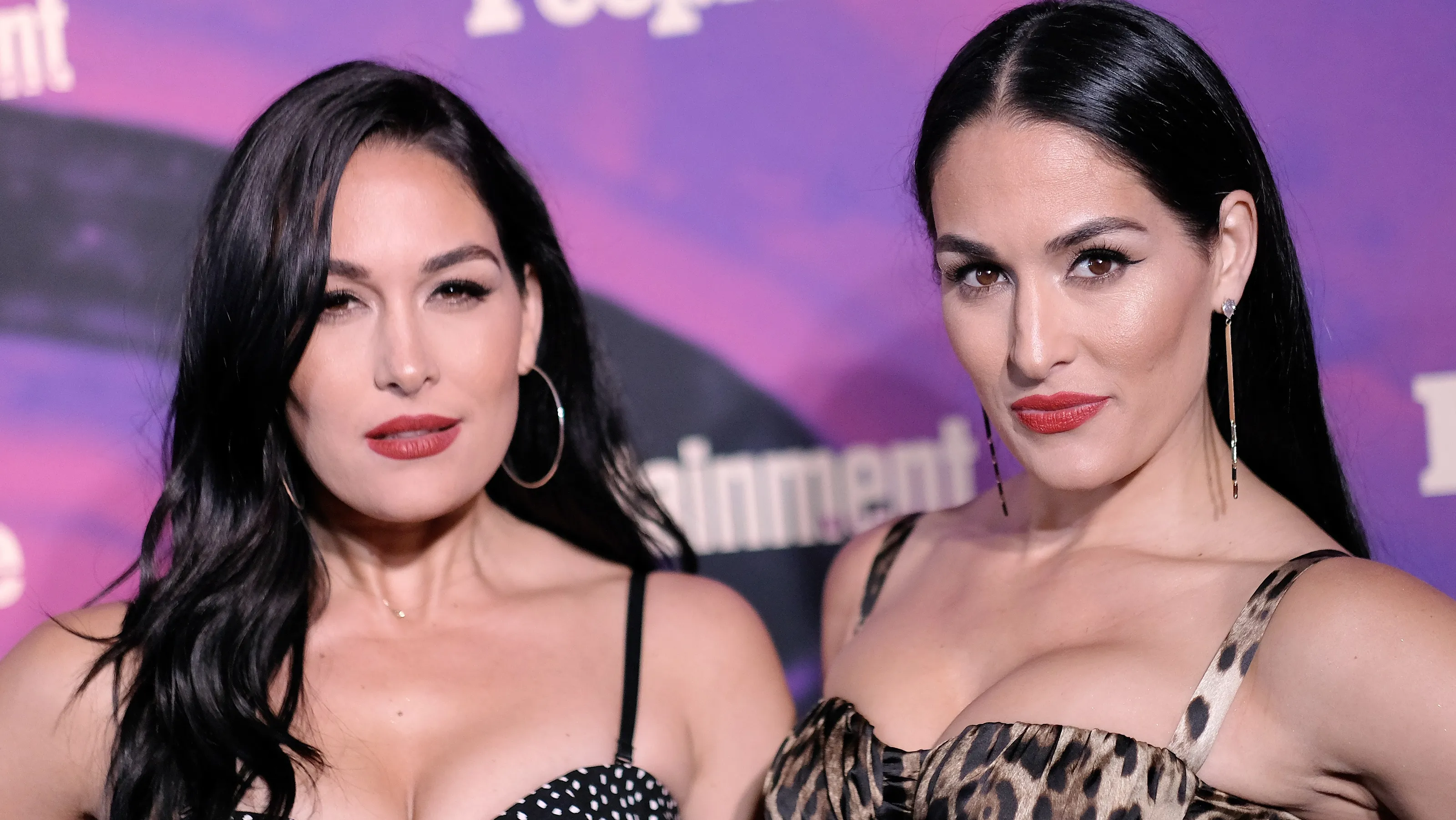 Brie Bella Nikki Bella Brie Bella Nikki Bella